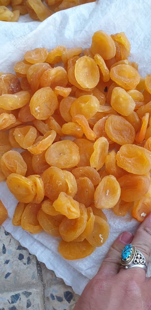 Afghan Sun Dried Apricots